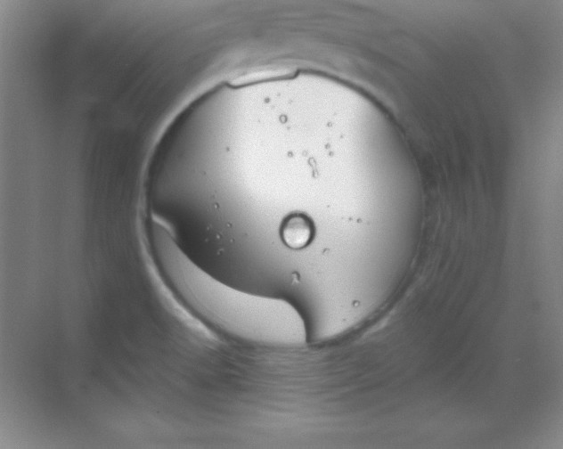 X0000068841518200605191912