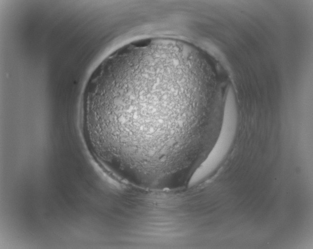 X0000068841520200605191912