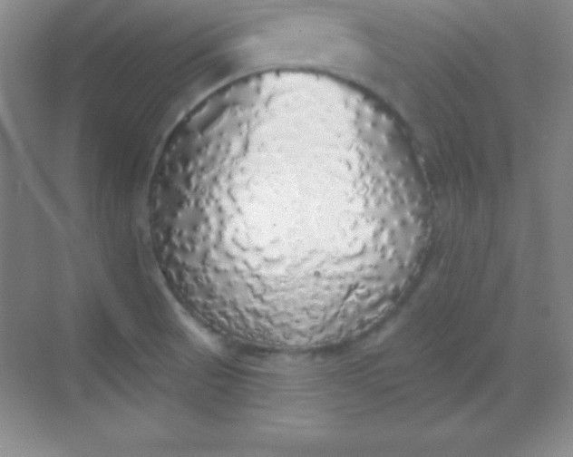 X0000068841521200605191912