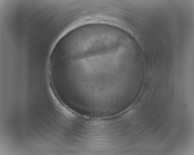 X0000068841522200605191912