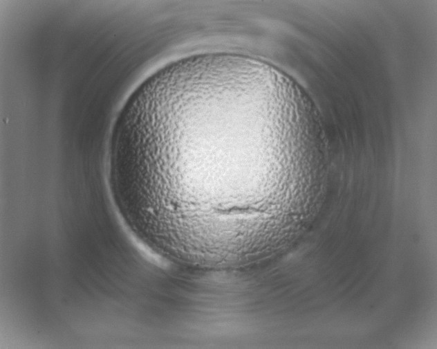 X0000068841523200605191912