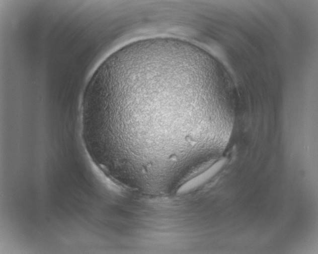 X0000068841524200605191912