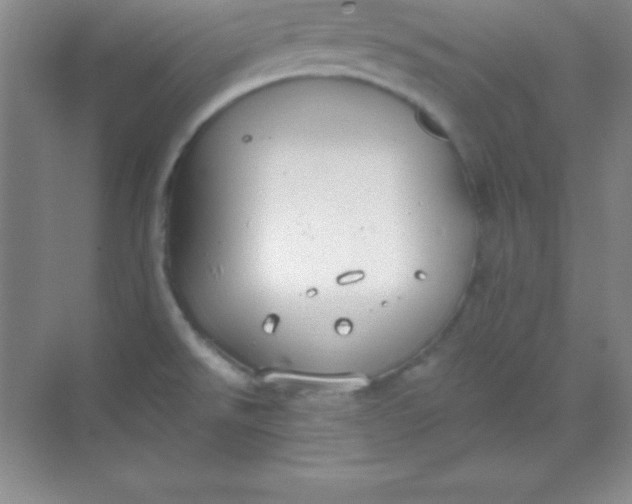 X0000068841526200605191912