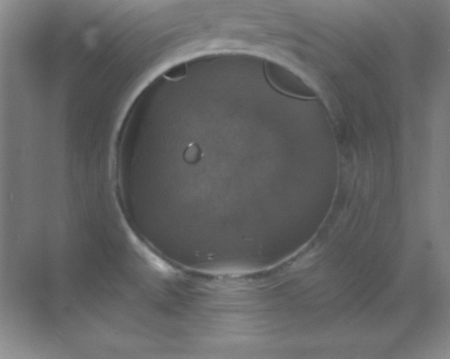 X0000068841527200605191912