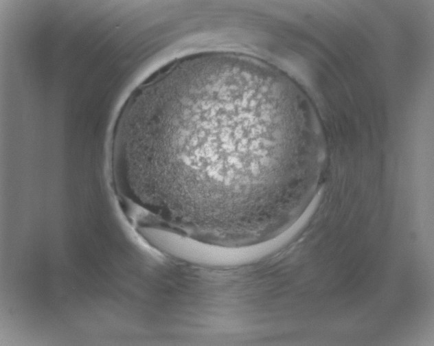 X0000068841528200605191912