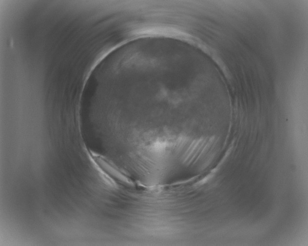 X0000068841529200605191912