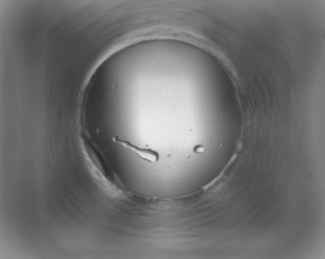 X0000068841530200605191912