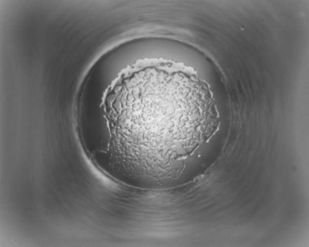 X0000068841531200605191912