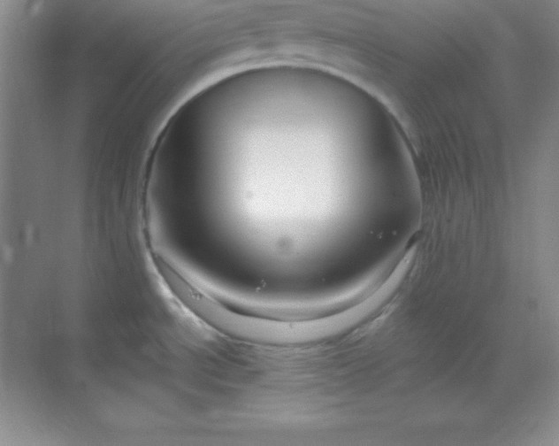 X0000068841534200605191912