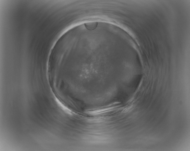 X0000068841535200605191912