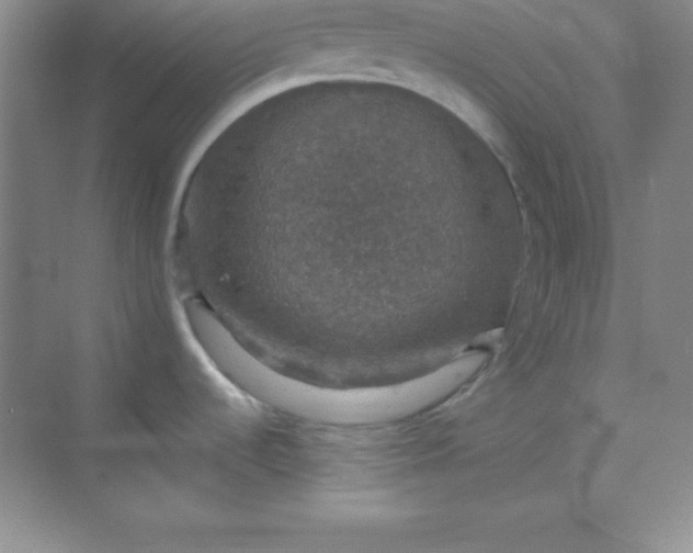 X0000068841536200605191912