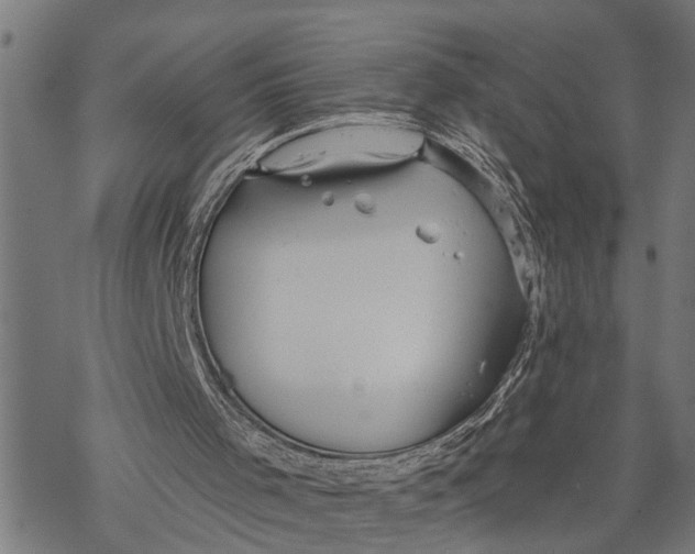 X0000068840001200605261652