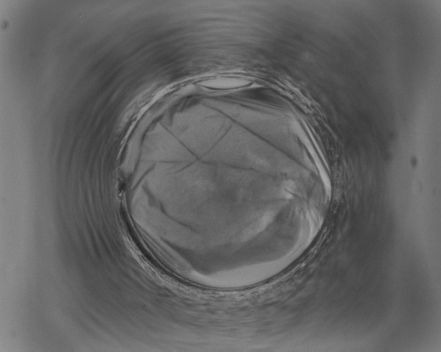 X0000068840002200605261652