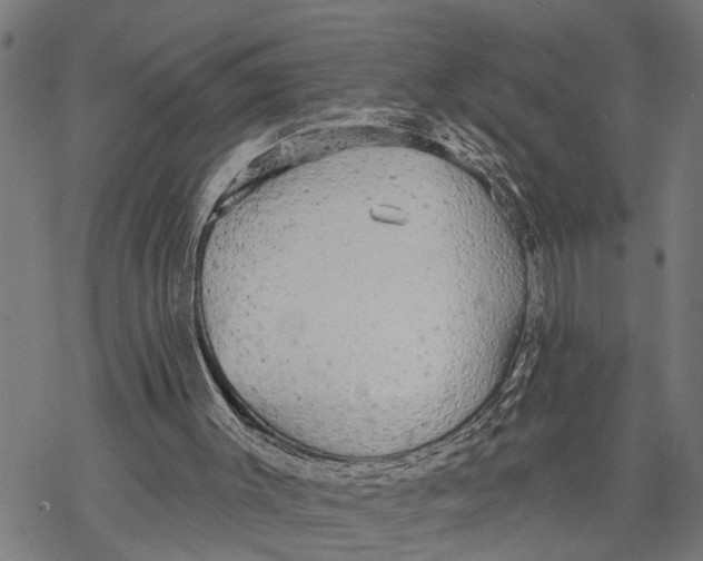 X0000068840003200605261652