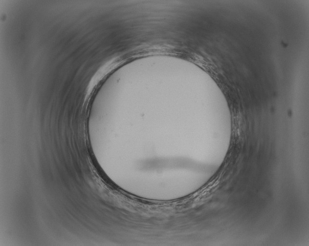 X0000068840004200605261652