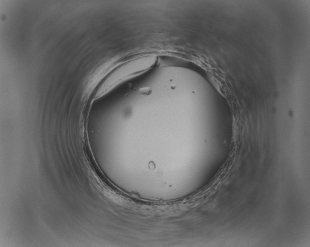 X0000068840005200605261652