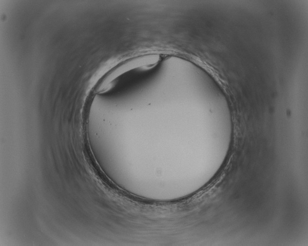 X0000068840008200605261652