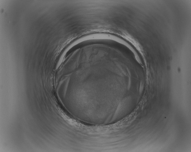 X0000068840009200605261652