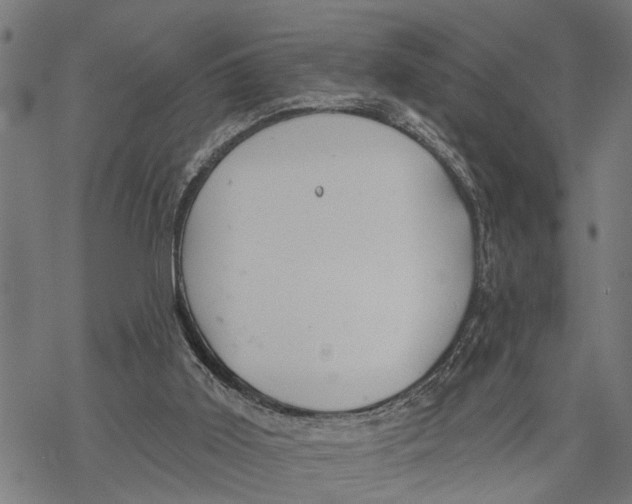 X0000068840011200605261652