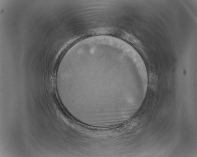 X0000068840012200605261652