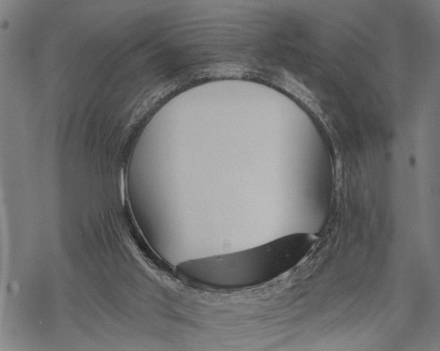 X0000068840013200605261652