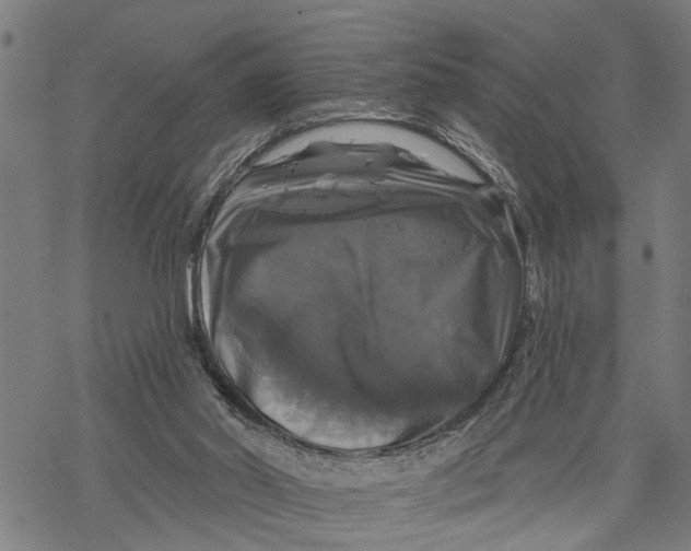 X0000068840014200605261652