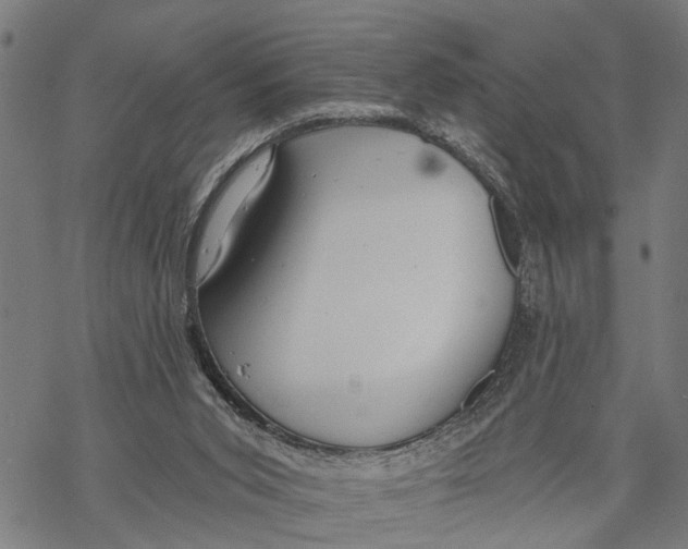 X0000068840015200605261652