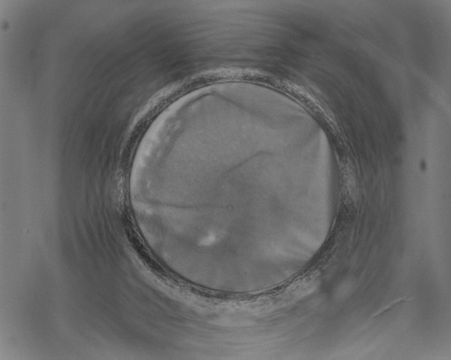 X0000068840016200605261652