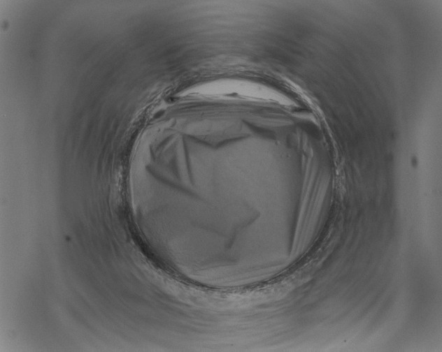 X0000068840018200605261652