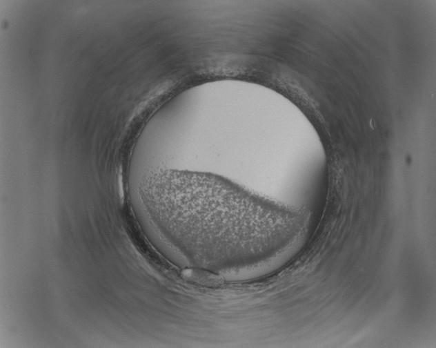 X0000068840020200605261652