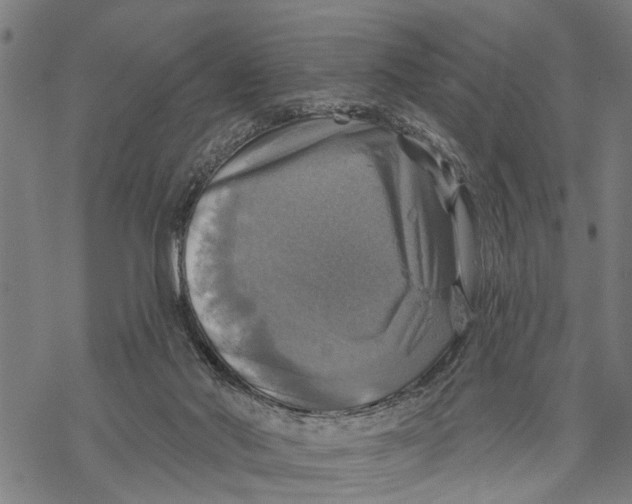 X0000068840022200605261652