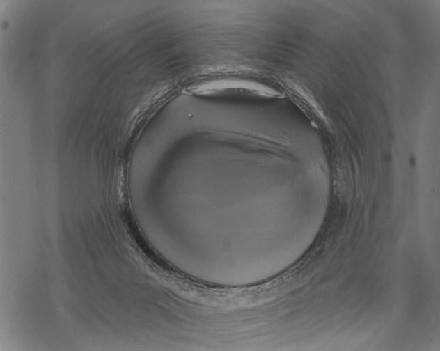 X0000068840023200605261652