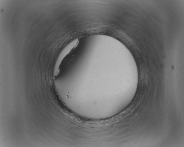 X0000068840025200605261652