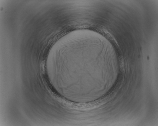 X0000068840026200605261652