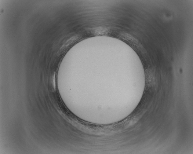 X0000068840028200605261652