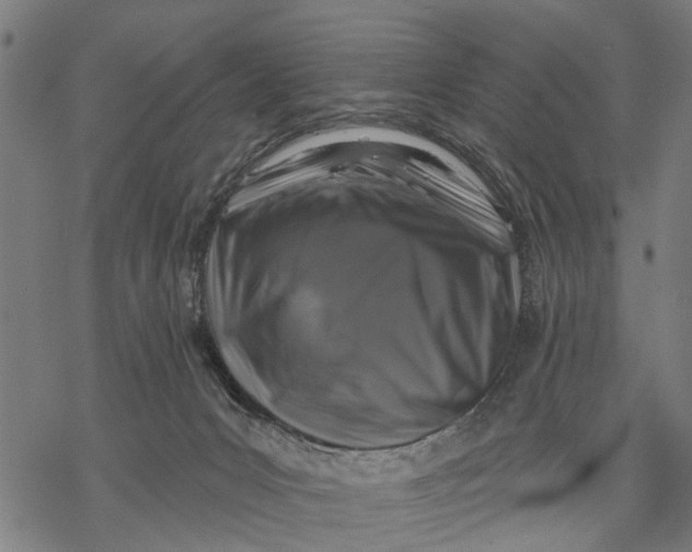 X0000068840031200605261652