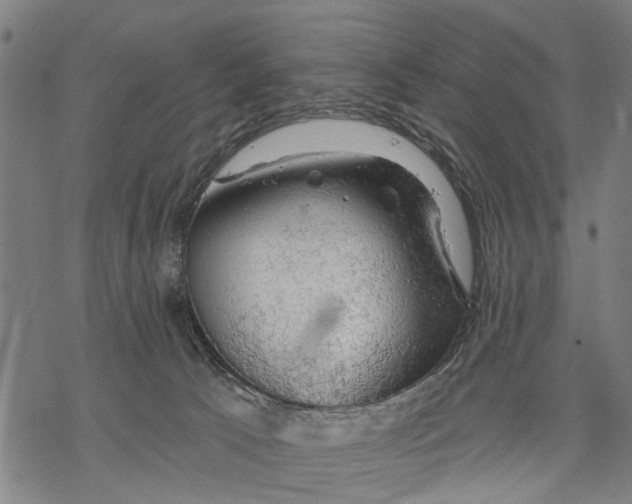 X0000068840033200605261651