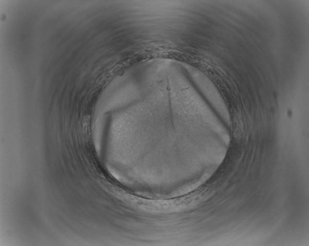 X0000068840034200605261651