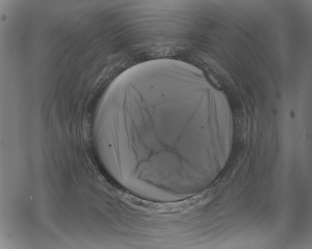 X0000068840035200605261651