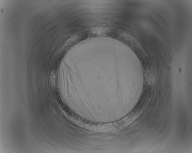 X0000068840036200605261651