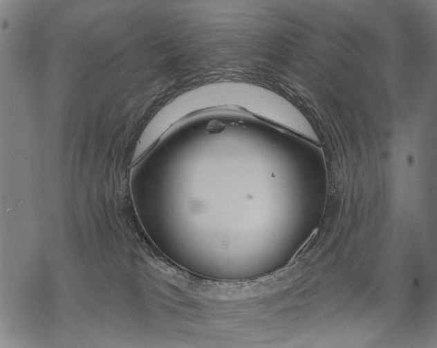 X0000068840037200605261651