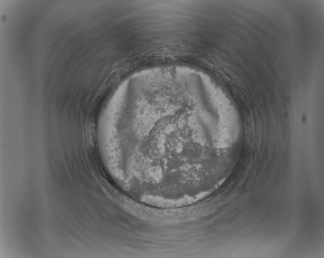 X0000068840038200605261651