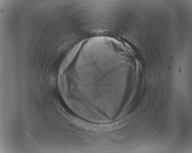 X0000068840039200605261651