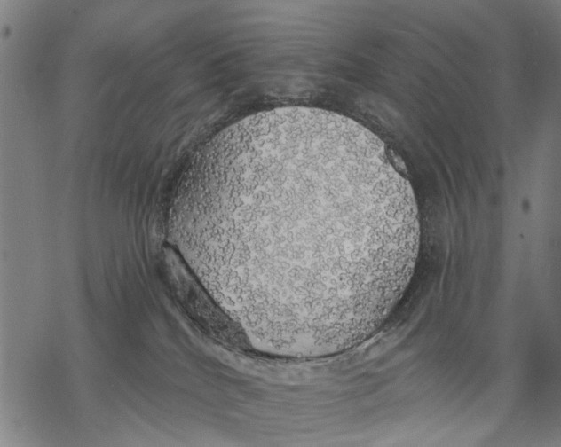 X0000068840040200605261651