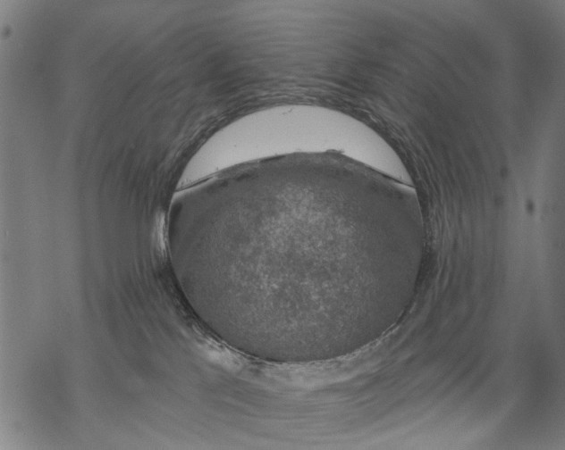 X0000068840041200605261651