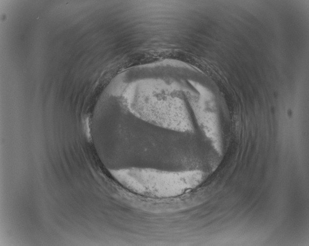 X0000068840042200605261651