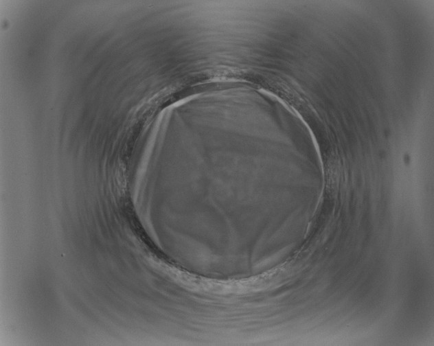 X0000068840043200605261651