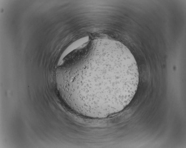 X0000068840044200605261651