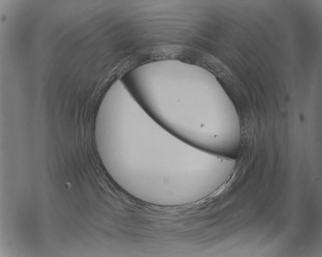 X0000068840045200605261651