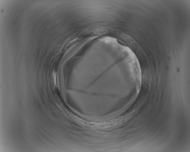 X0000068840046200605261651